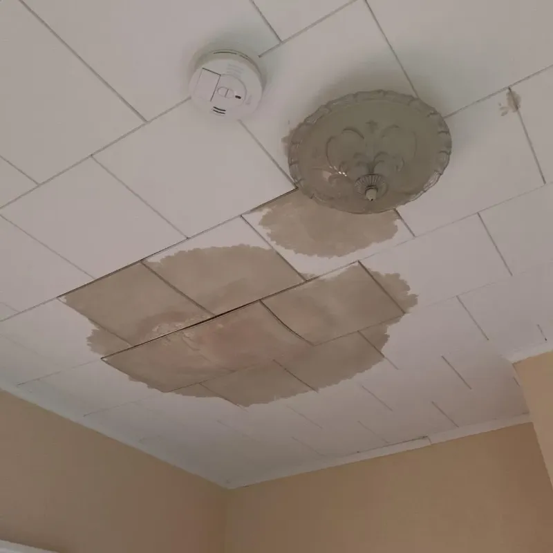 Ceiling Water Damage Repair in Machesney Park, IL