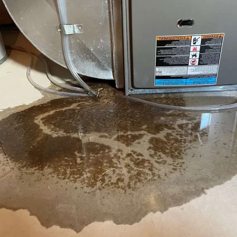 Pipe Burst and Leak Restoration in Machesney Park, IL