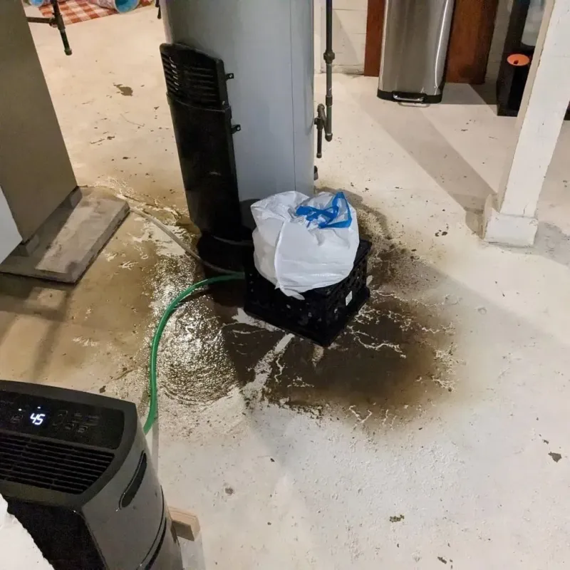 Sewage Backup Cleanup Service in Machesney Park, IL